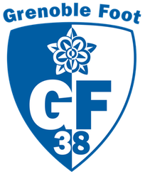 格勒诺布尔